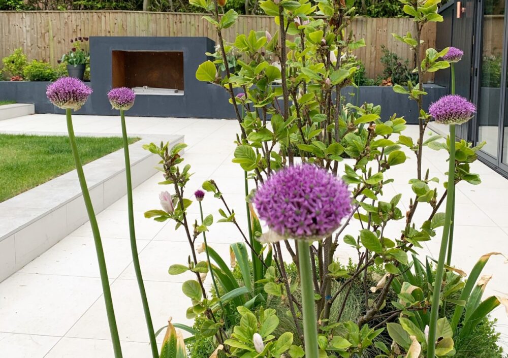 Garden landscaping design service Manchester Cheshire from Plantlife Garden Design by Frances Kandel